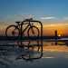 Dal 2018 la comitiva ha cominciato a riunirsi ogni settimana per fotografare il sole e la sua luce. Una luce che trasforma qualsiasi oggetto, come quella bicicletta che Dina, una delle fautrici dell'iniziativa, ci mostra mentre riflette il suo profilo in una pozzanghera 